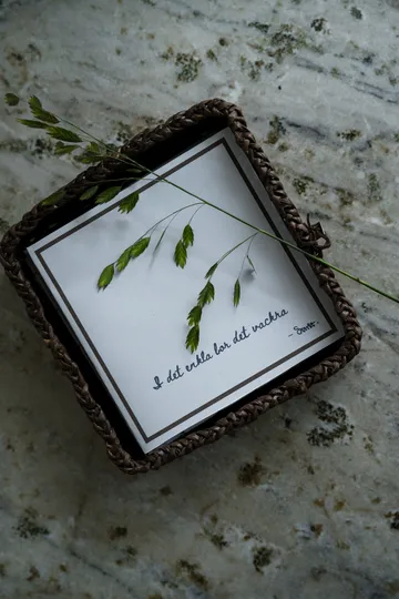 Ernst servet met citaat In het eenvoudige 20-pack - Lichtgrijs - ERNST