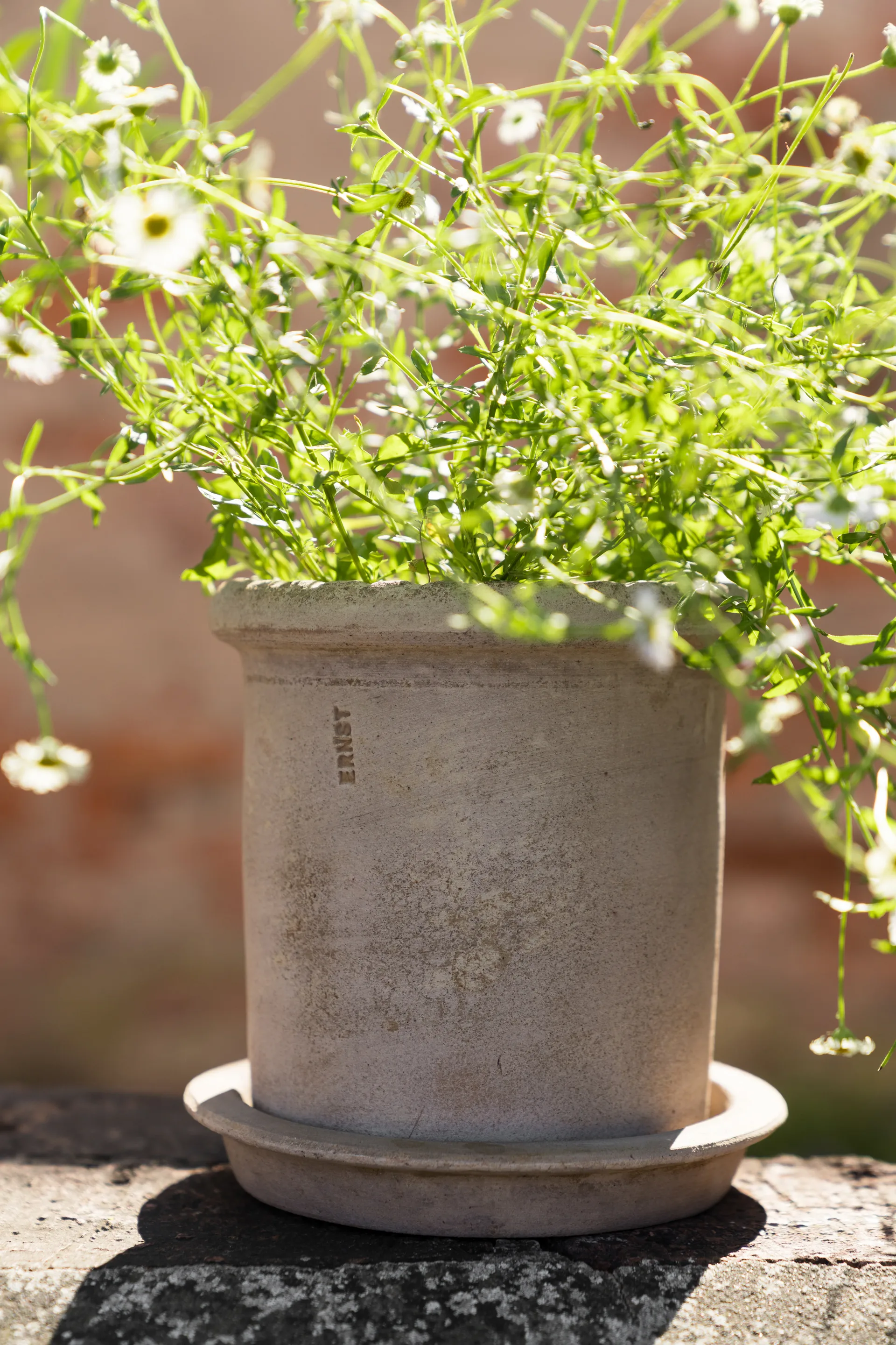Ernst terracotta bloempot met schotel, Ø16x16 cm ERNST