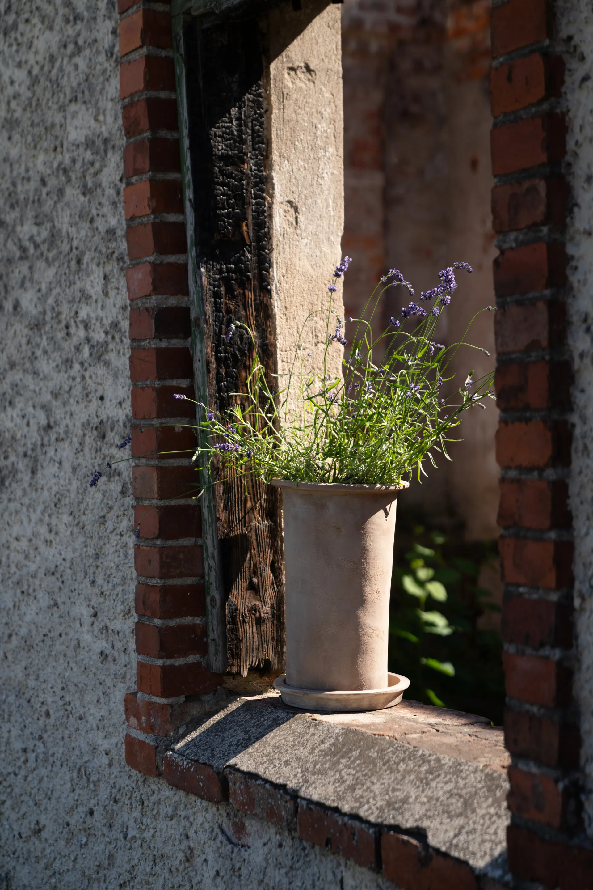 Ernst terracotta bloempot met schotel, Ø25x35 cm ERNST
