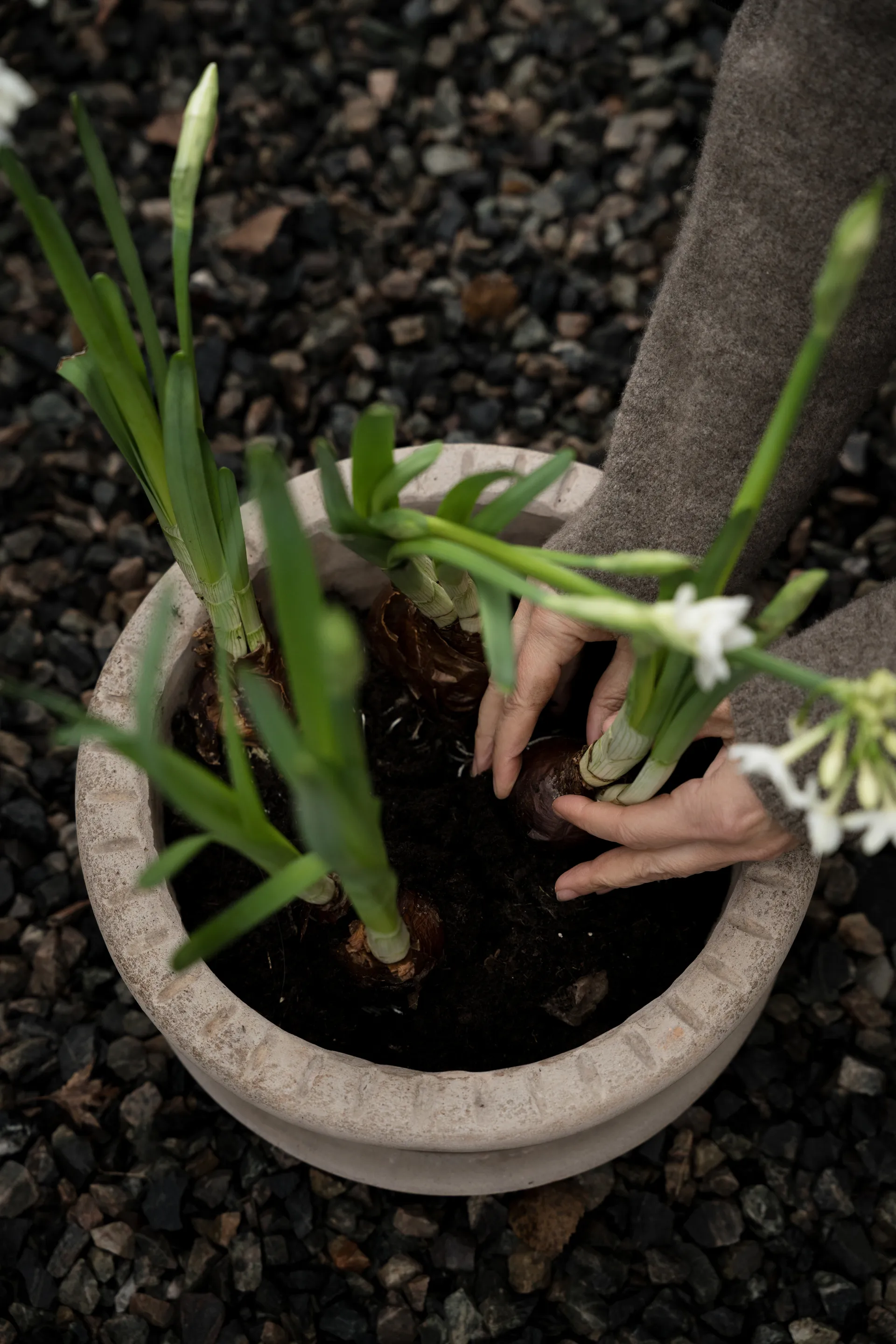 Ernst terracotta bloempot met schotel, Ø33x12 cm ERNST