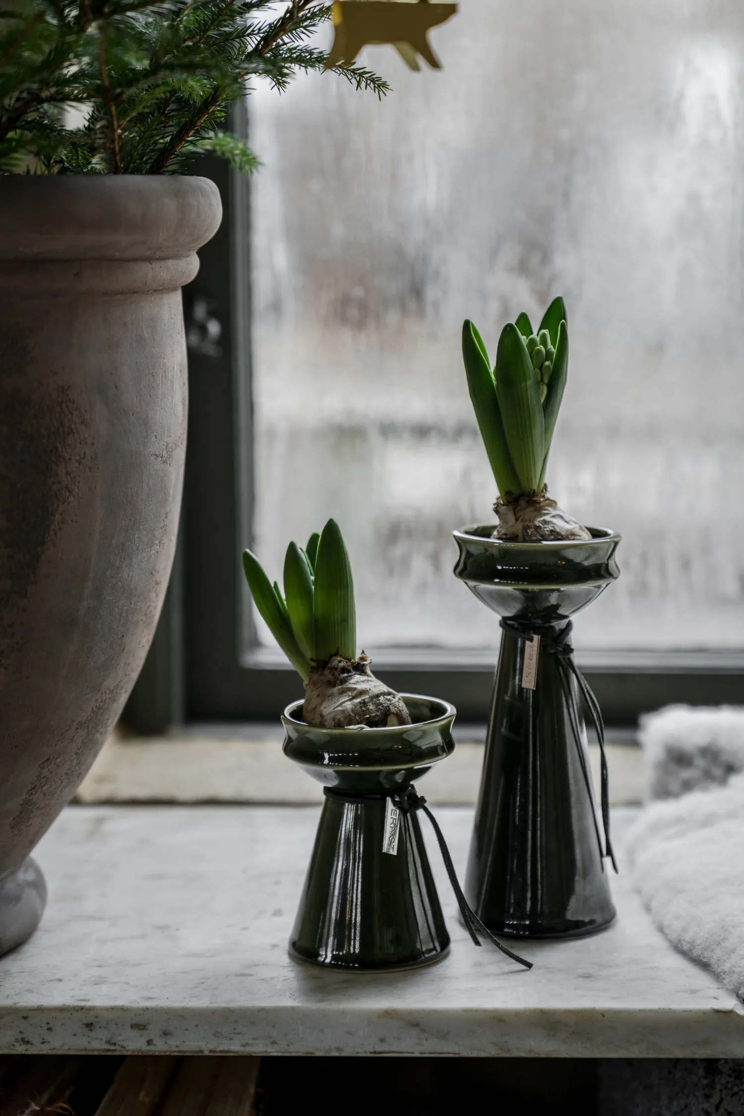 Ernst uienvaas 12 cm, Donkergroen ERNST