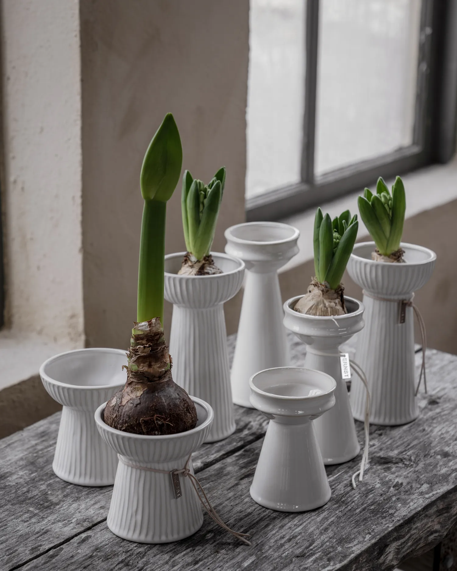 Ernst uienvaas 12 cm, Naturel wit ERNST