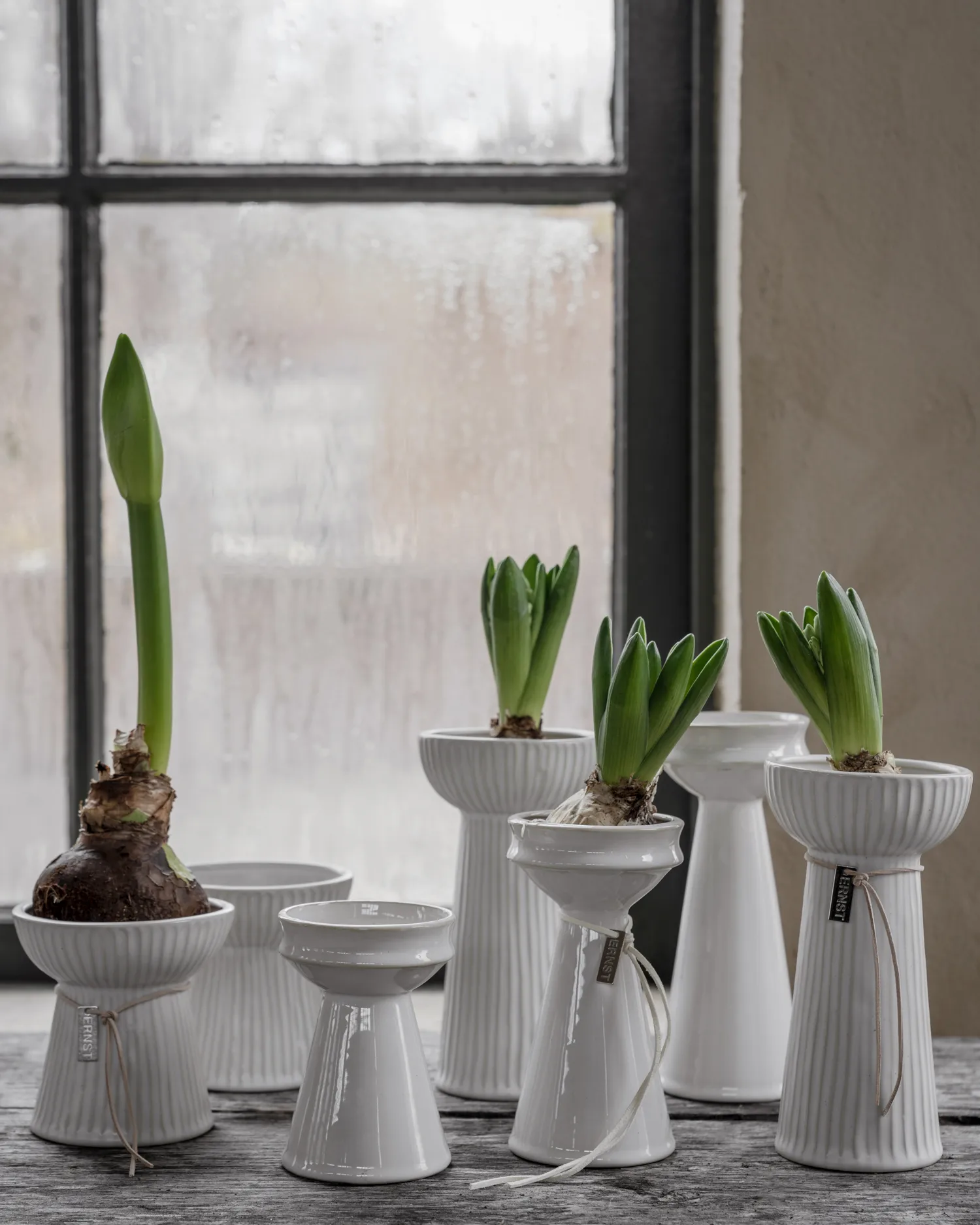 Ernst uienvaas 12 cm, Naturel wit ERNST