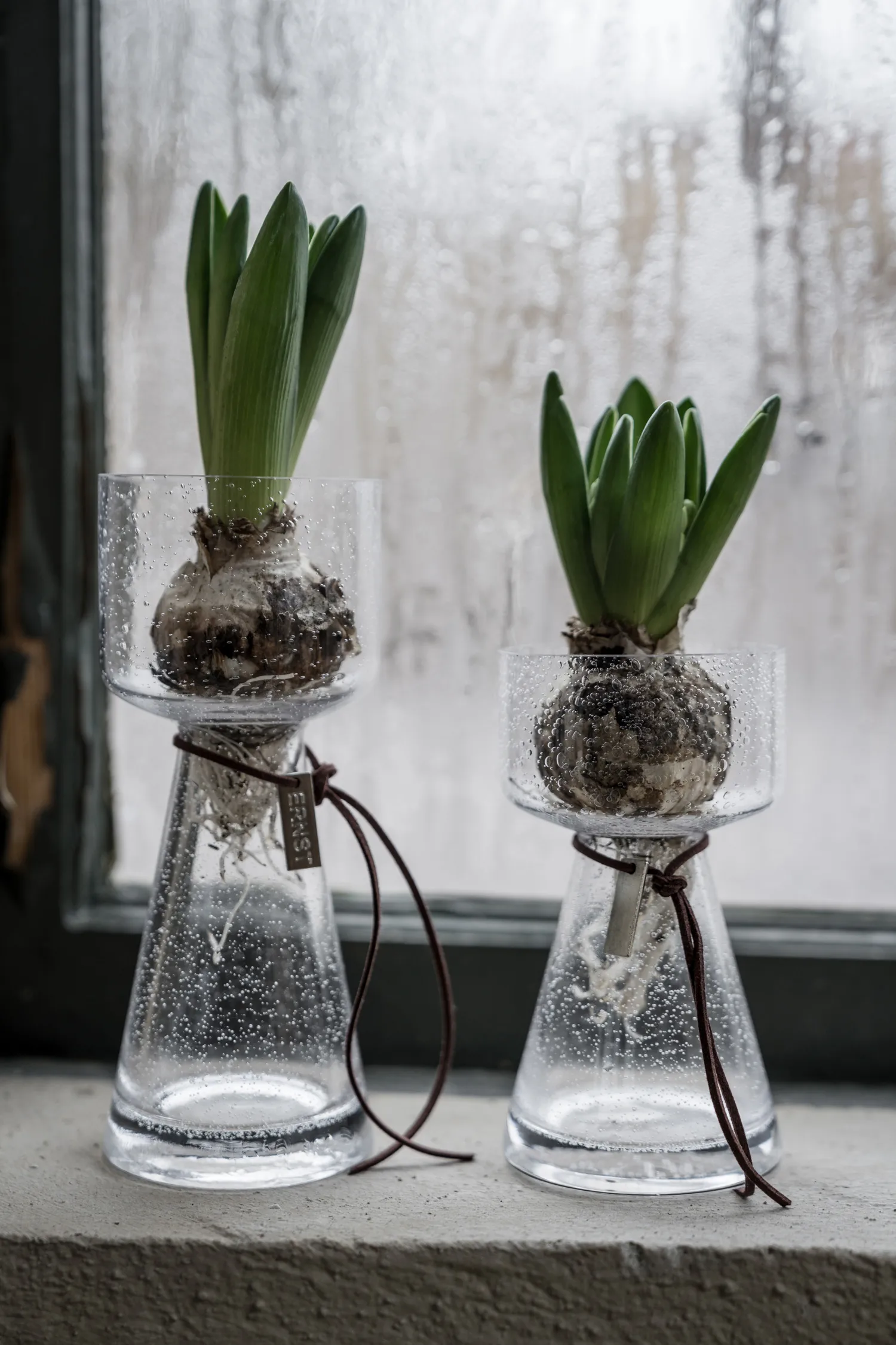 Ernst uienvaas gebubbeld glas, 15 cm ERNST