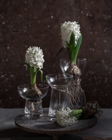 Ernst uienvaas glas - 19 cm - ERNST