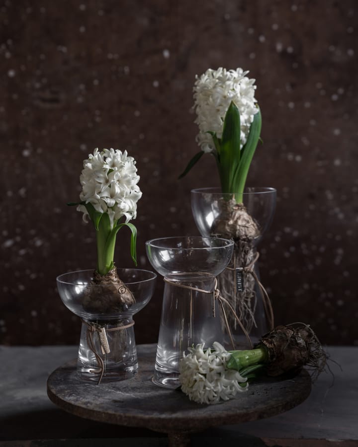 Ernst uienvaas glas, 19 cm ERNST