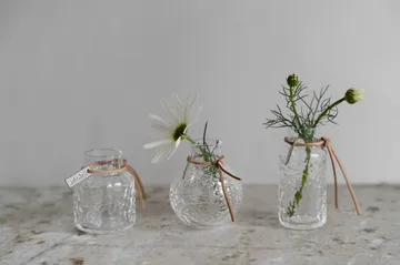 Ernst vaas met patroon geschenkverpakking 3-delig - Helder - ERNST