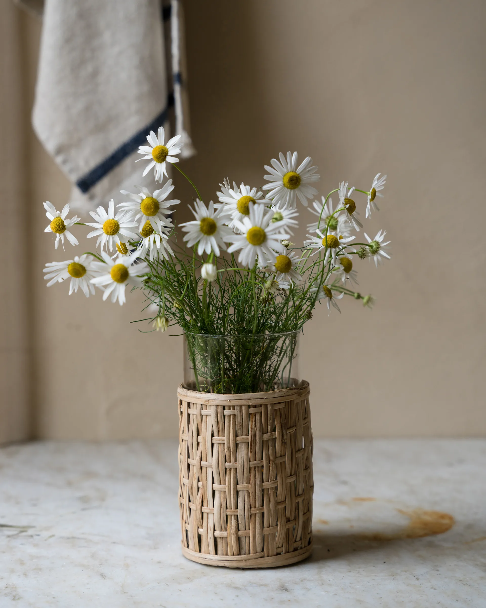 Ernst vaas/lantaarn in mand, Naturel, Ø10x18 cm ERNST