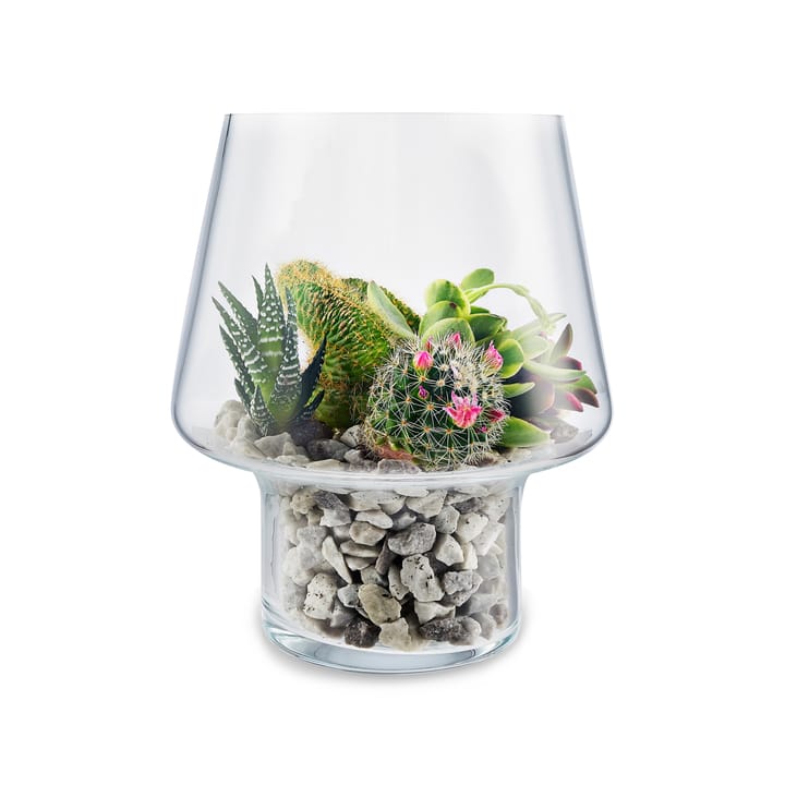 Eva Solo glazen vaas voor vetplanten, Ø15 cm Eva Solo