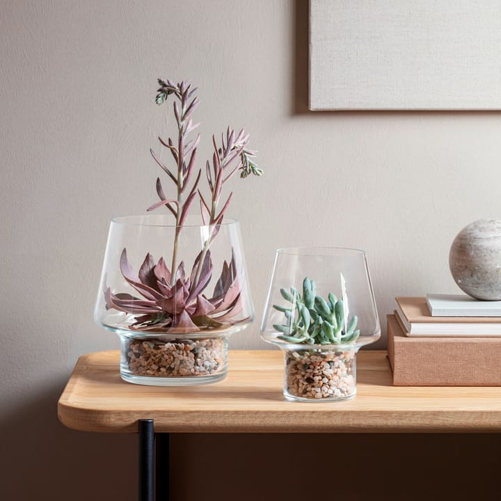 Eva Solo glazen vaas voor vetplanten, Ø15 cm Eva Solo