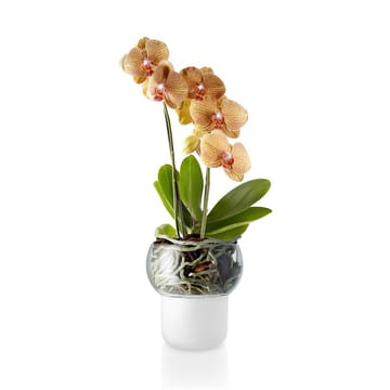 Eva Solo orchideeën bloempot matglas - 13 cm. - Eva Solo