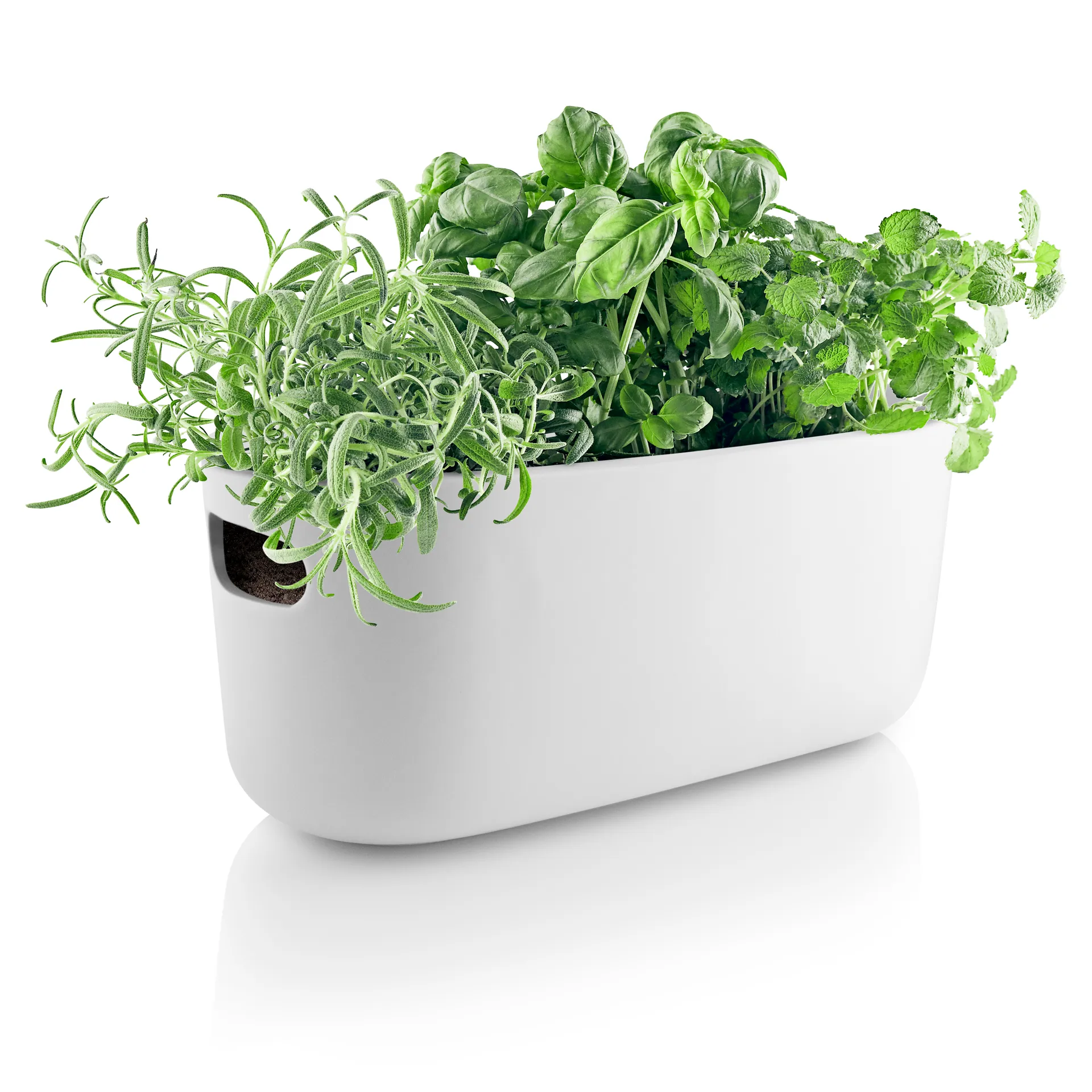 Eva Solo zelfwaterende kruidenbak, Wit Eva Solo