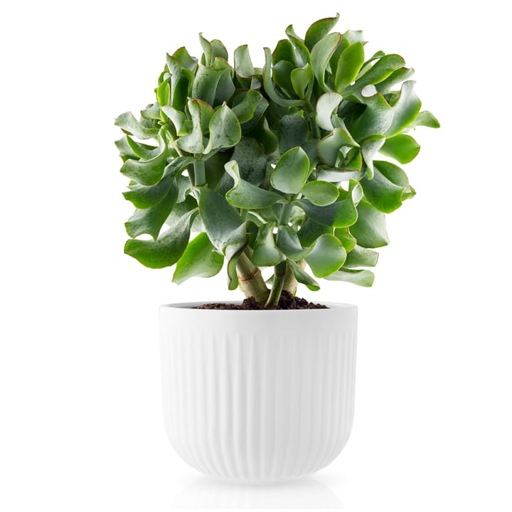 Eva Trio Legio Nova bloempot wit, Groot Ø15.5 cm Eva Solo