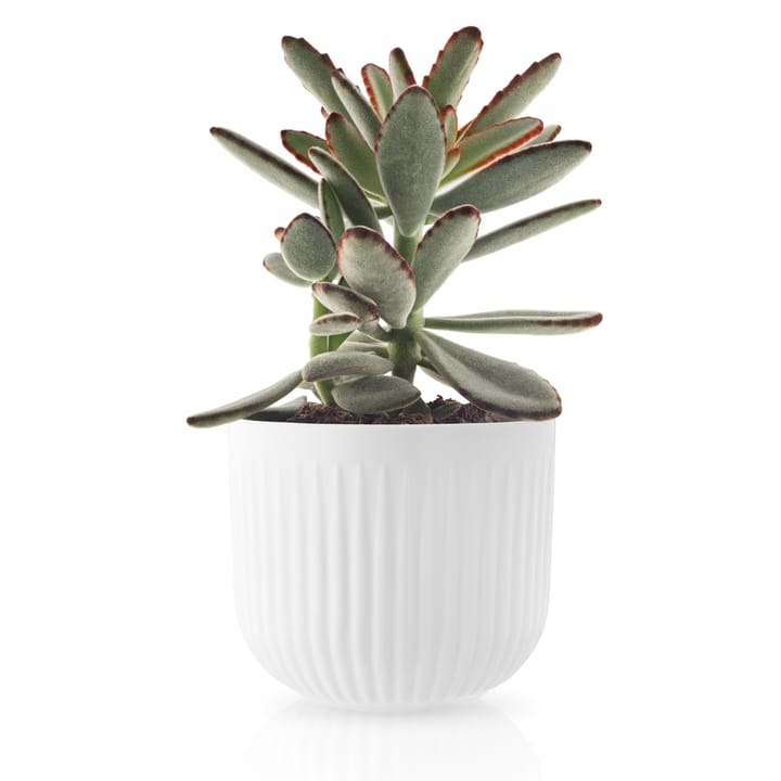 Eva Trio Legio Nova bloempot wit, Klein Ø13 cm Eva Solo
