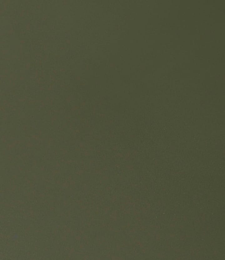 C35 inlegblad, 95x45 cm olive green-oak nature lacquered FDB Møbler