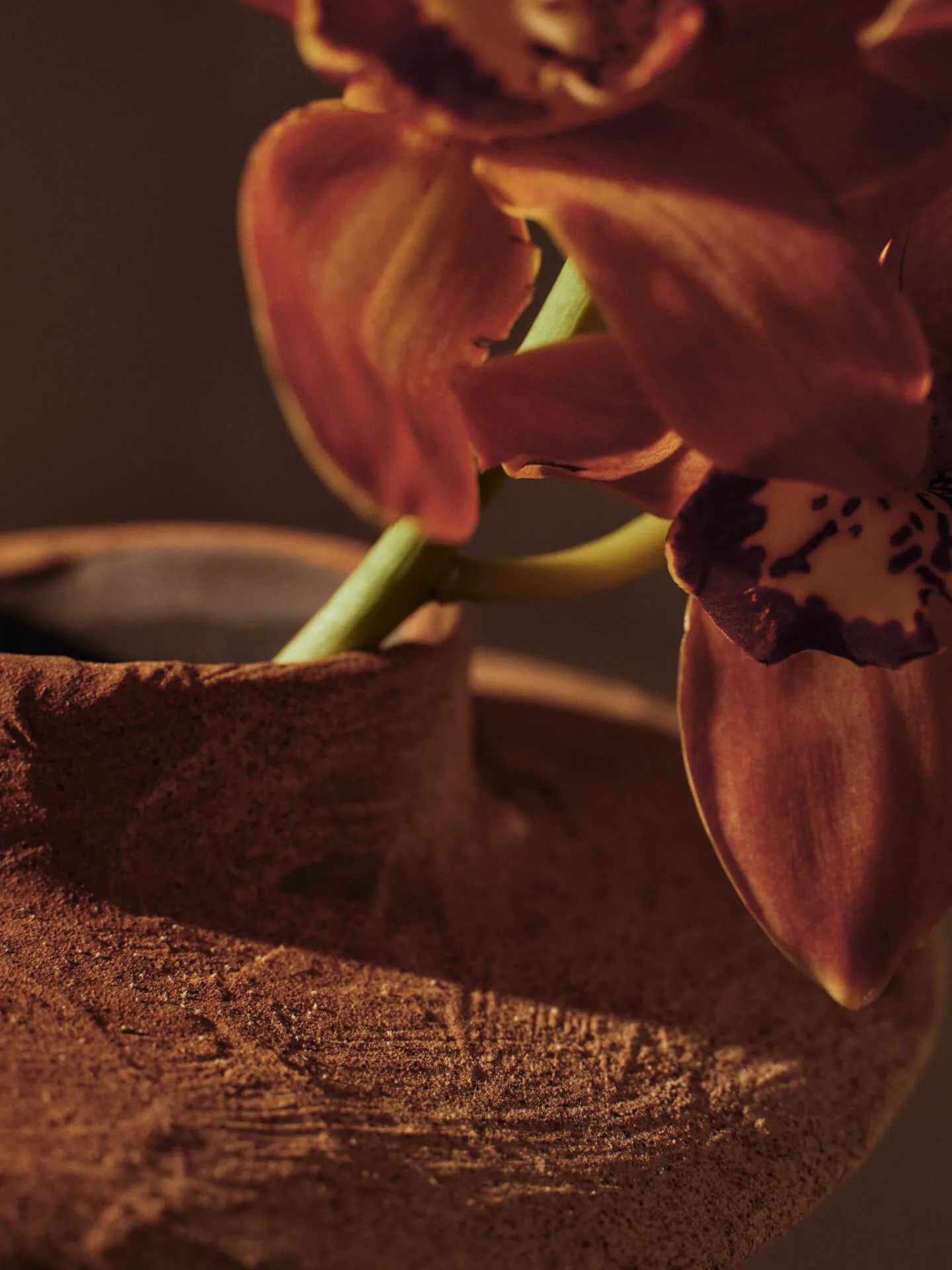 Evio vaas, Burnt umber, Ø25x22 cm Ferm Living