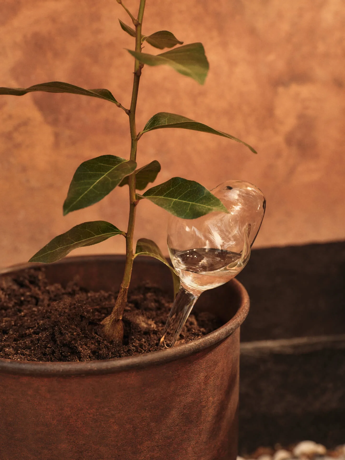 Mercury waterbol 2-delig, Transparant, 12x18,5 cm Ferm Living