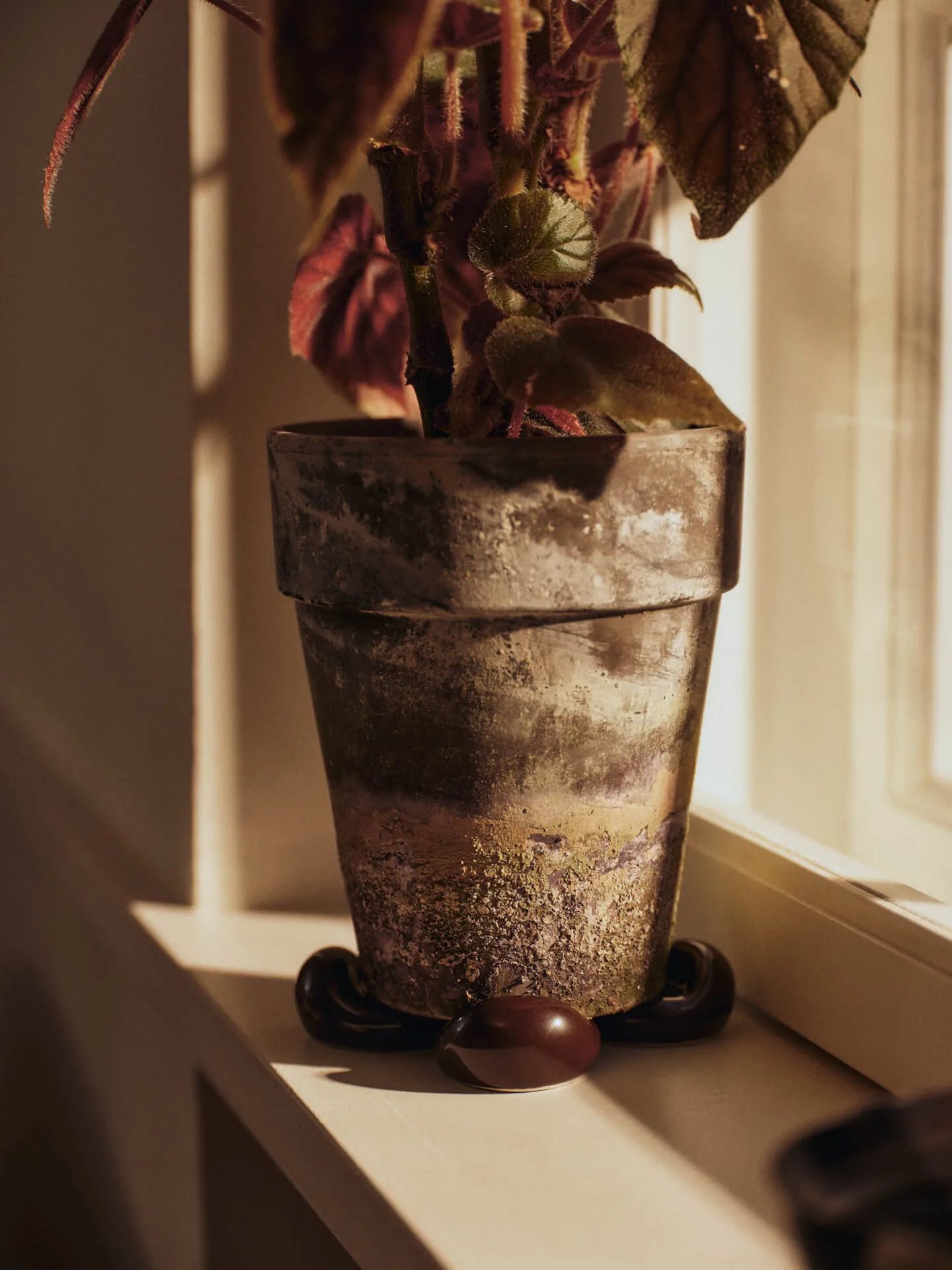 Nube poten voor bloempot 4-pack, Carob brown Ferm Living