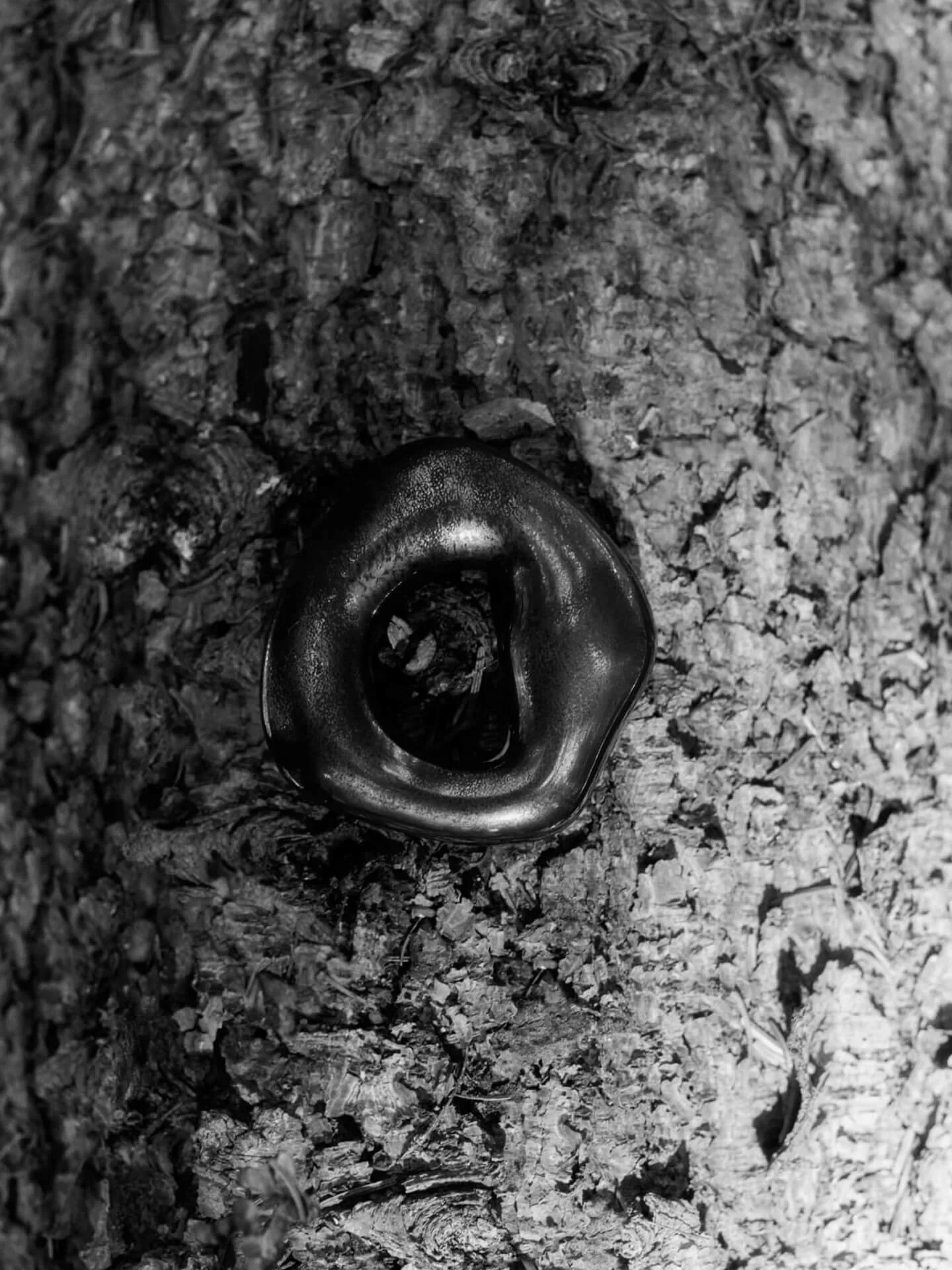 Orrith decoratiehanger 2-delig, Rustic Bronze Ferm Living