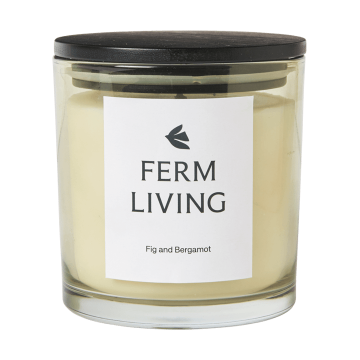 Vitto geurkaars 45 u - Light Celedon - Ferm Living