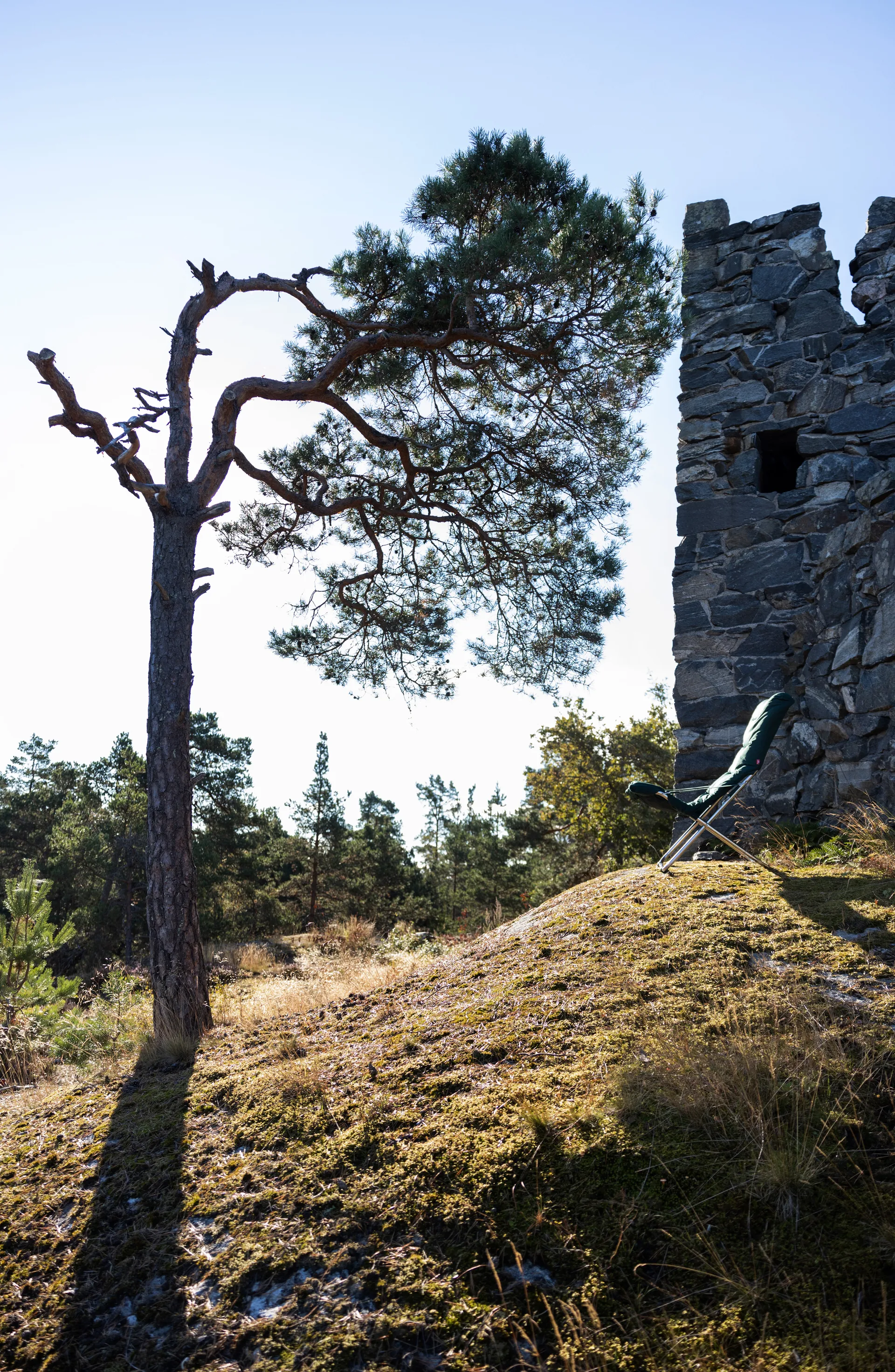 Fiesta Soft zonnestoel, Stof donkergroen-aluminiumframe Fiam