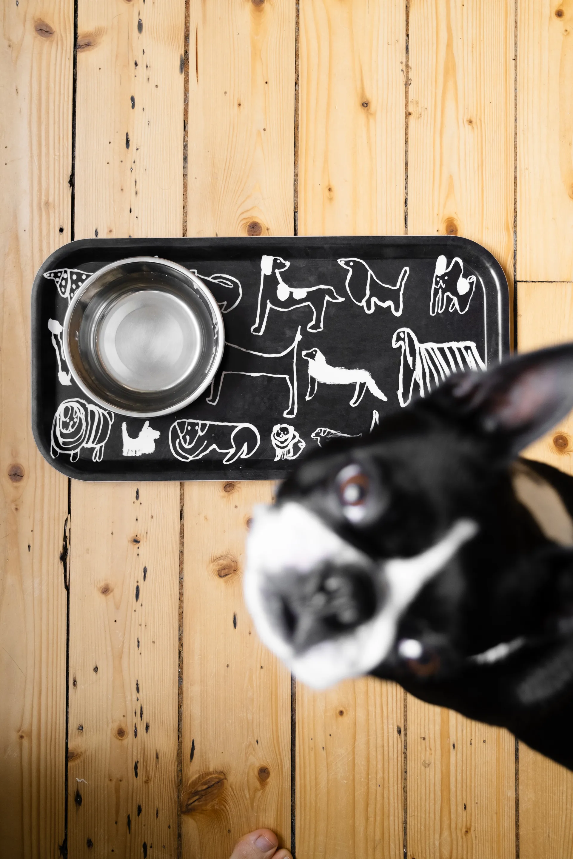 Dogs serveerplaat 22x43 cm, Black-white Fine Little Day