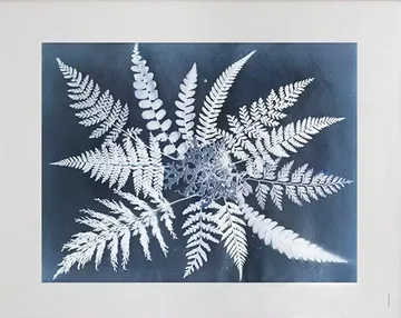 Fern star poster - 40x50 cm - Fine Little Day