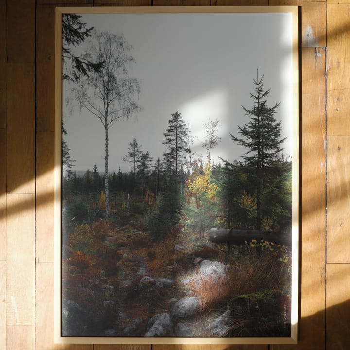 Norrland poster 50x70 cm - Grijs-wit - Fine Little Day