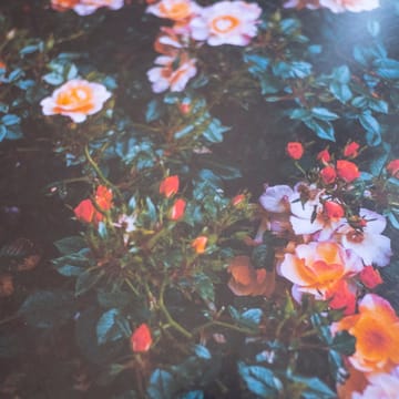 Rose dienblad 38 cm - Multi - Fine Little Day
