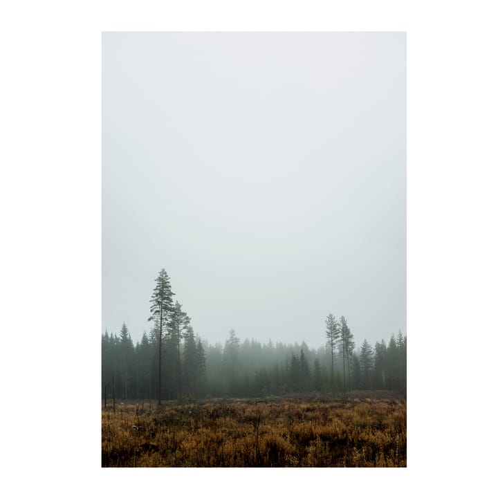 Skog poster - 70 x 100 cm - Fine Little Day