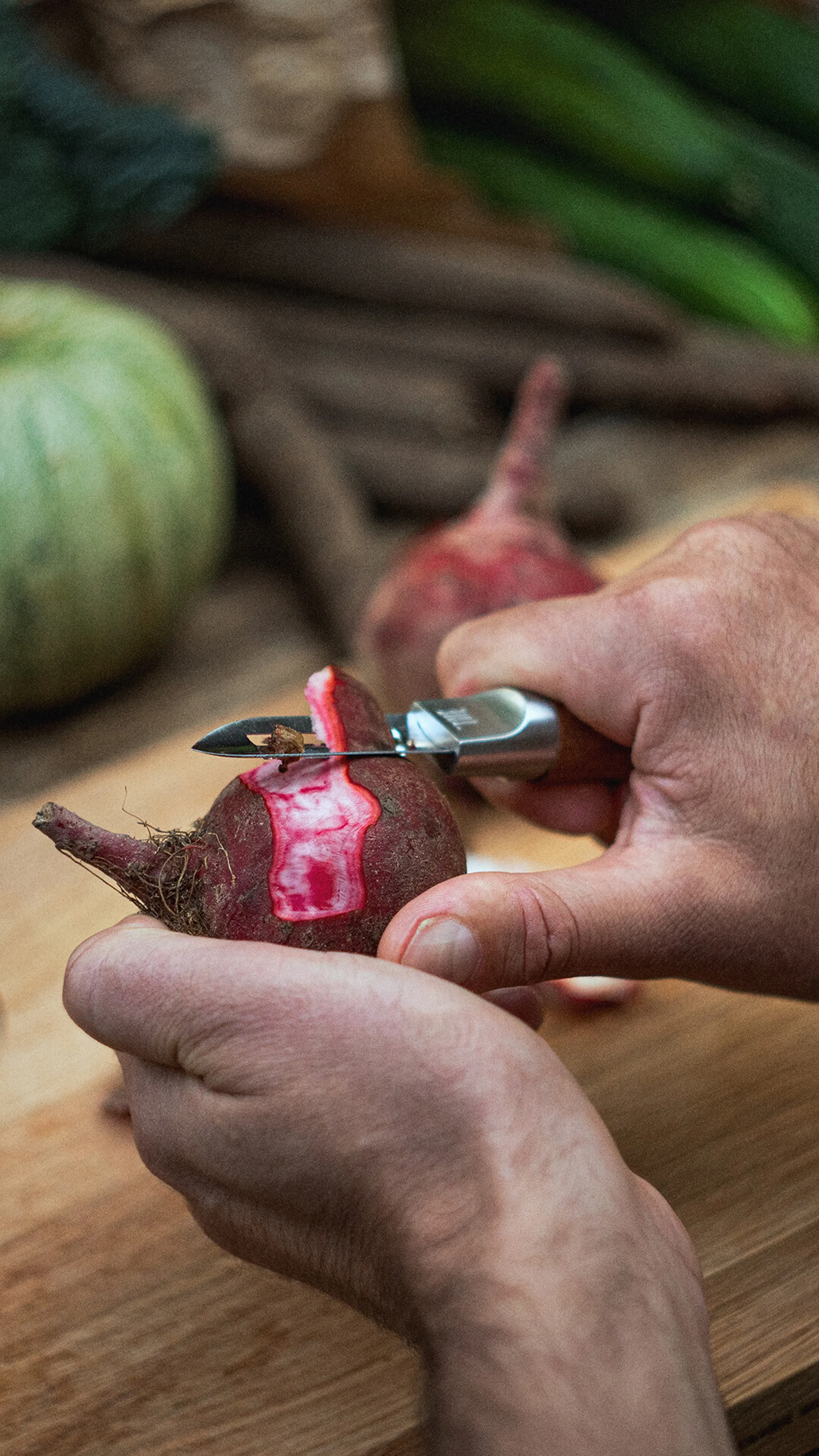 Norden dunschiller, Roestvrij staal-berkenhout Fiskars