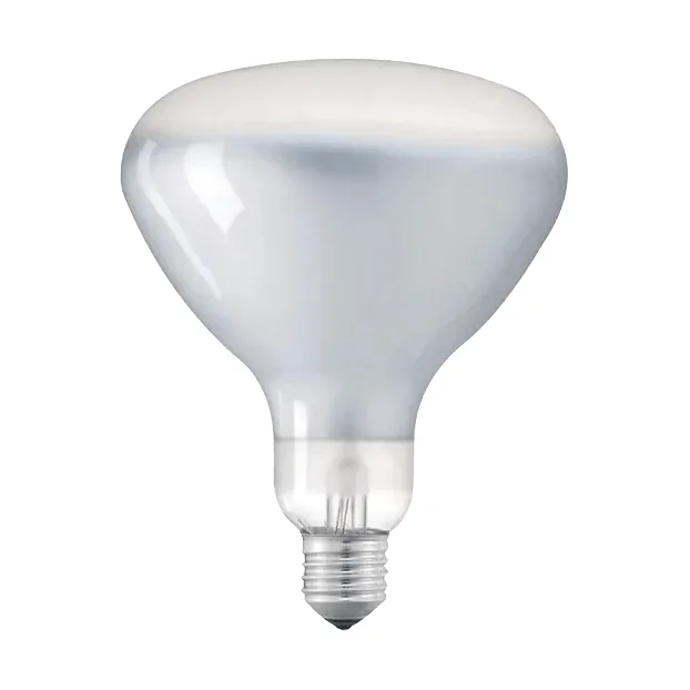 LED R125 lichtbron E27 - 2700K 1180lm 12W - Flos
