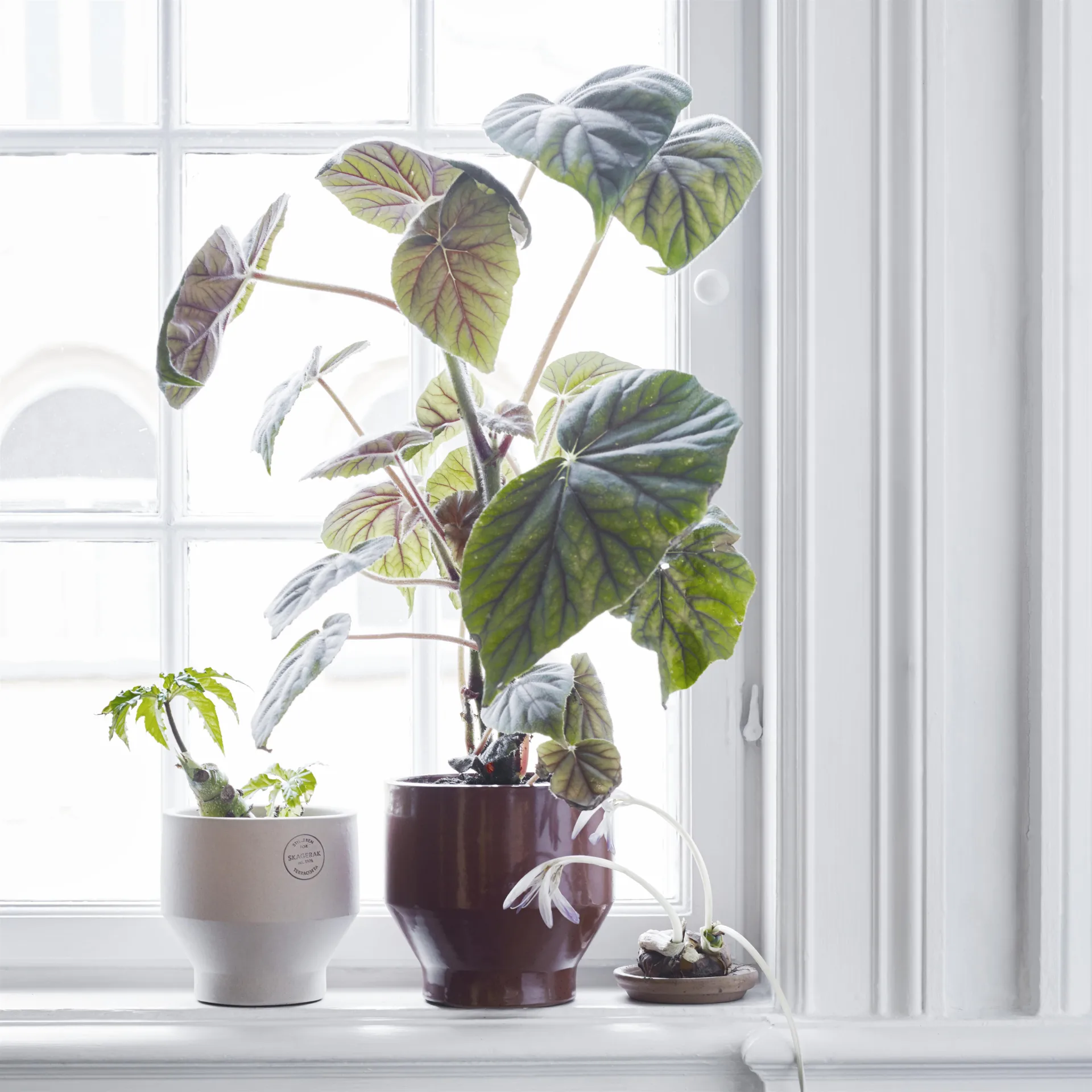 Edge bloempot (binnen) Ø18 cm, burned red Fritz Hansen