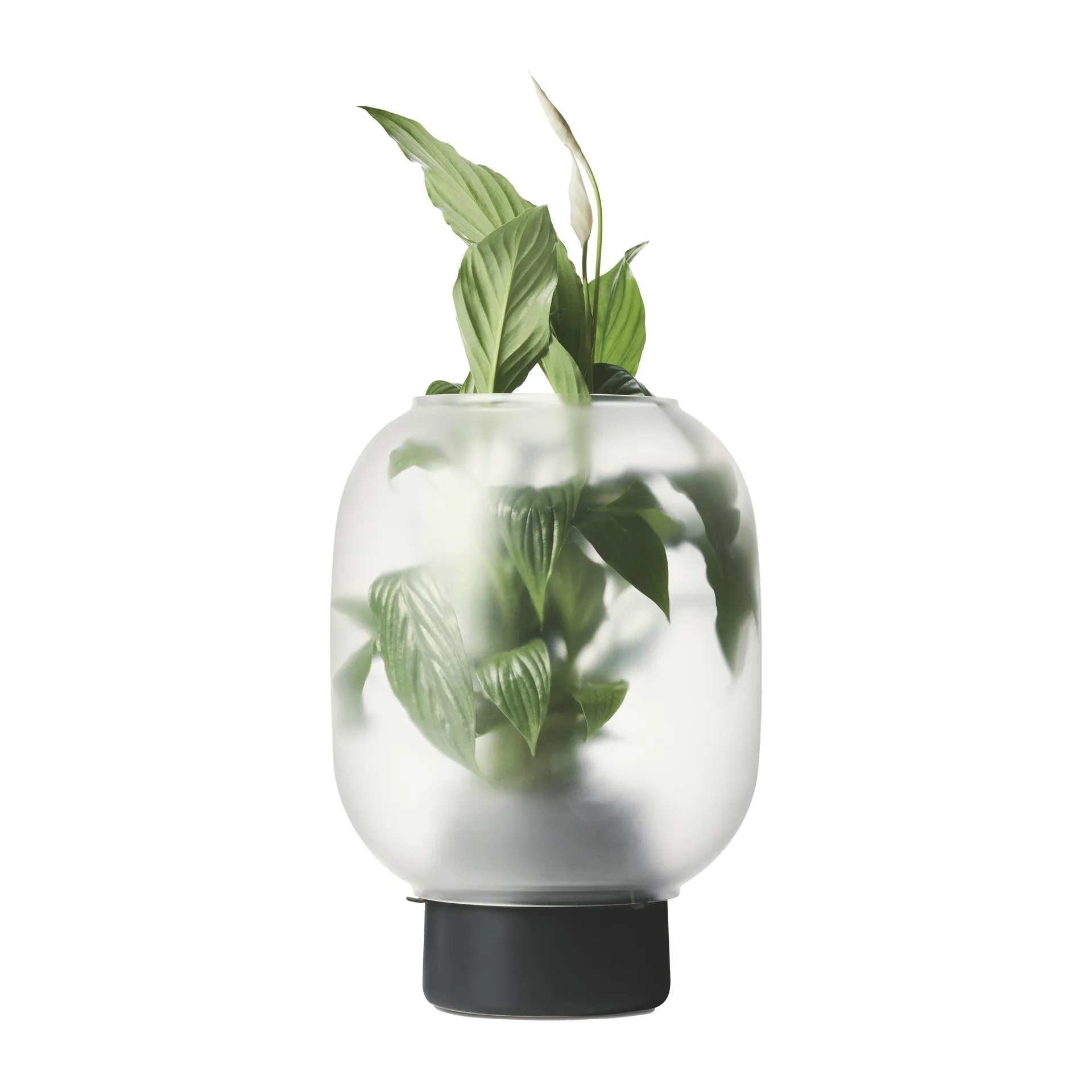 Nebl bloempot mat glas Ø26 cm, Zwart Gejst