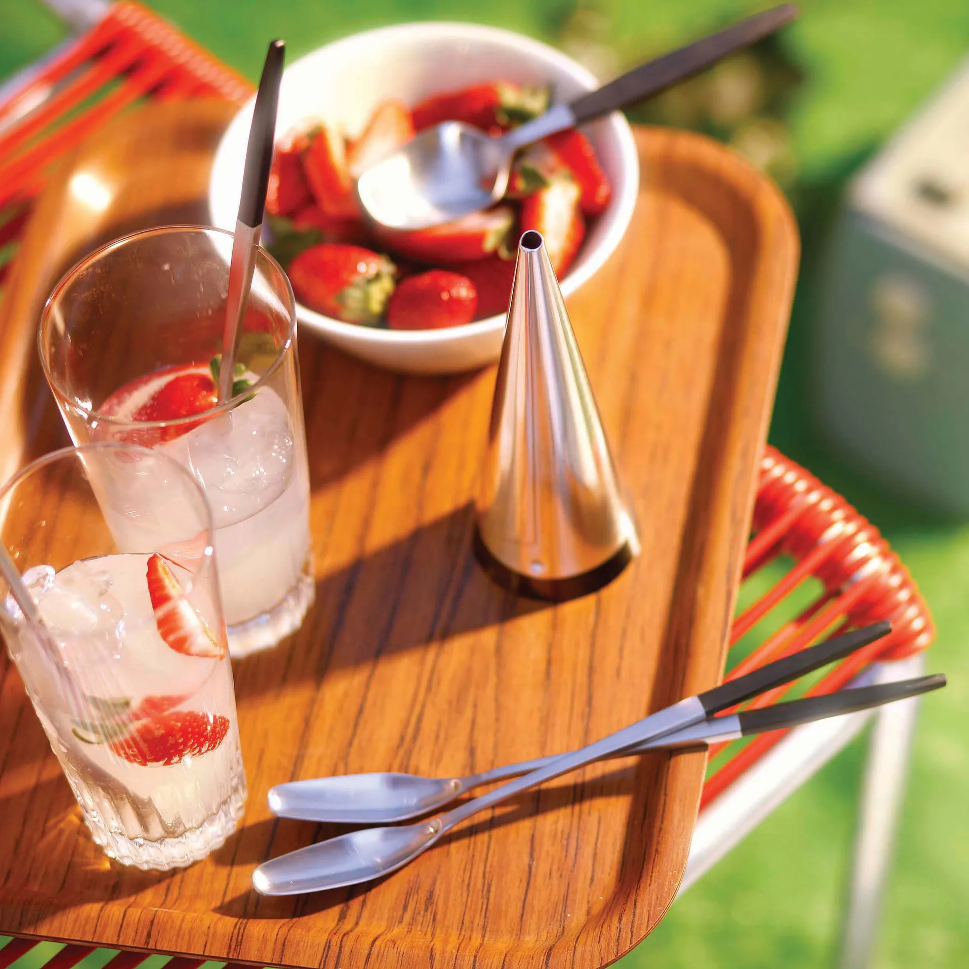 Focus de Luxe dessert-lepels, roestvrij staal Gense