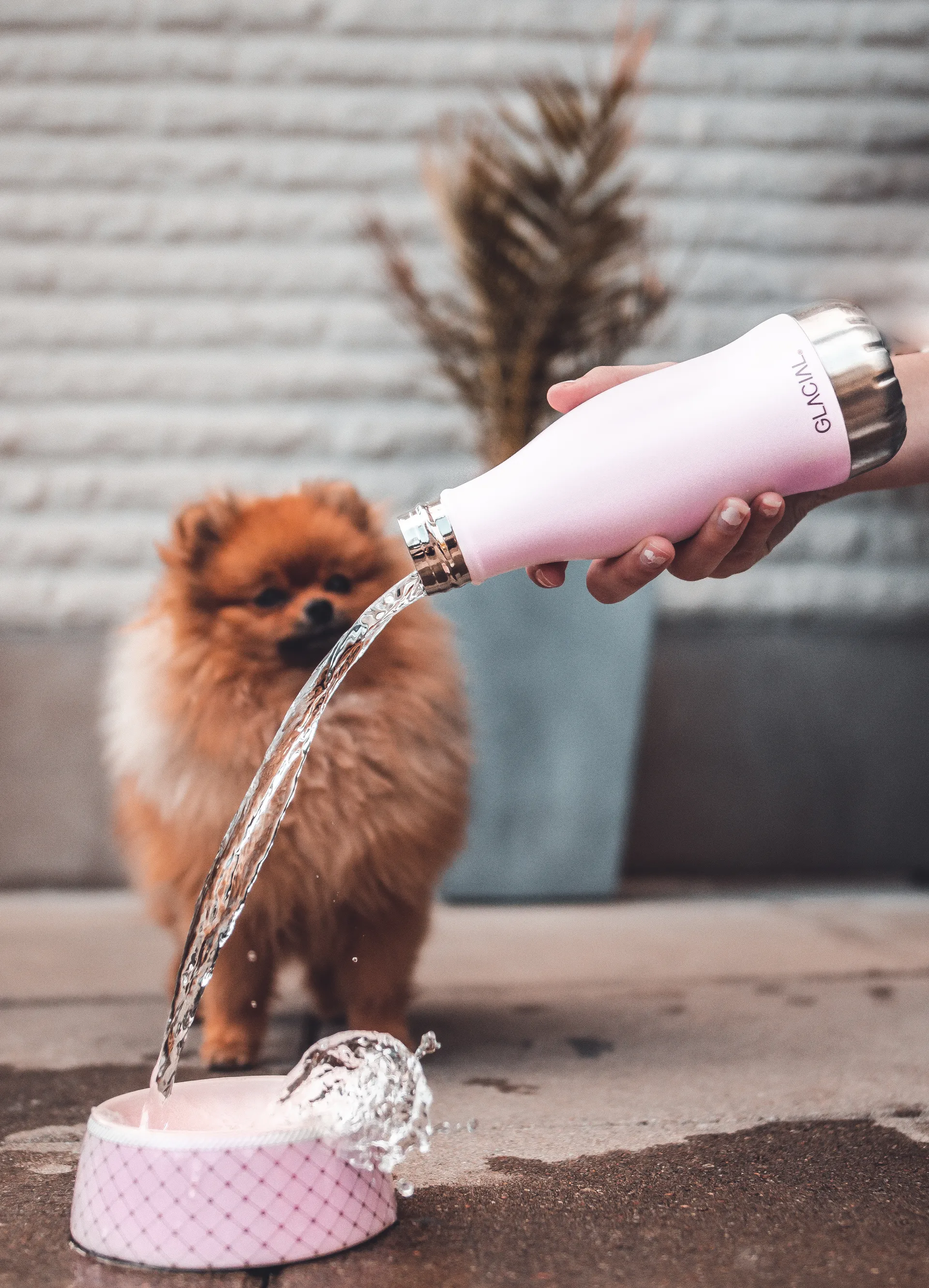 Glacial waterfles 280 ml, Matte pink powder Glacial