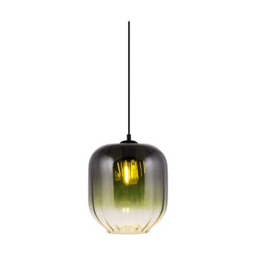 Haze hanglamp Ø25 cm - Groen - Globen Lighting