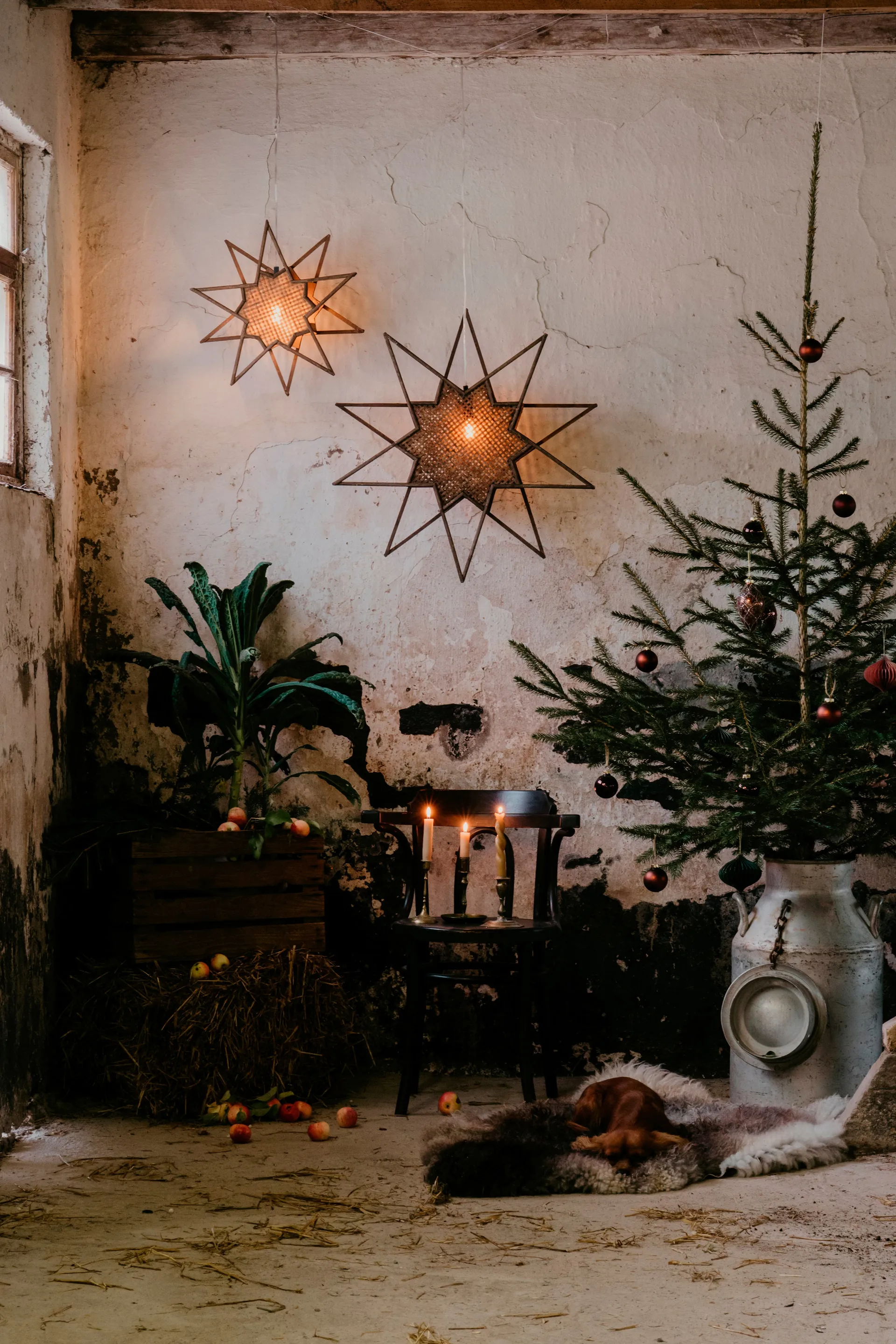 Karin adventsster Ø70 cm, Bruin Globen Lighting