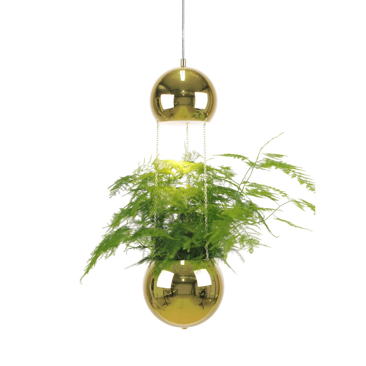 Globen Lighting Planter hanglamp met bloempot messing