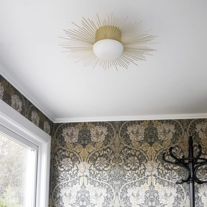 Soleil plafond/wandlamp Ø56 cm - Geborsteld messing - Globen Lighting