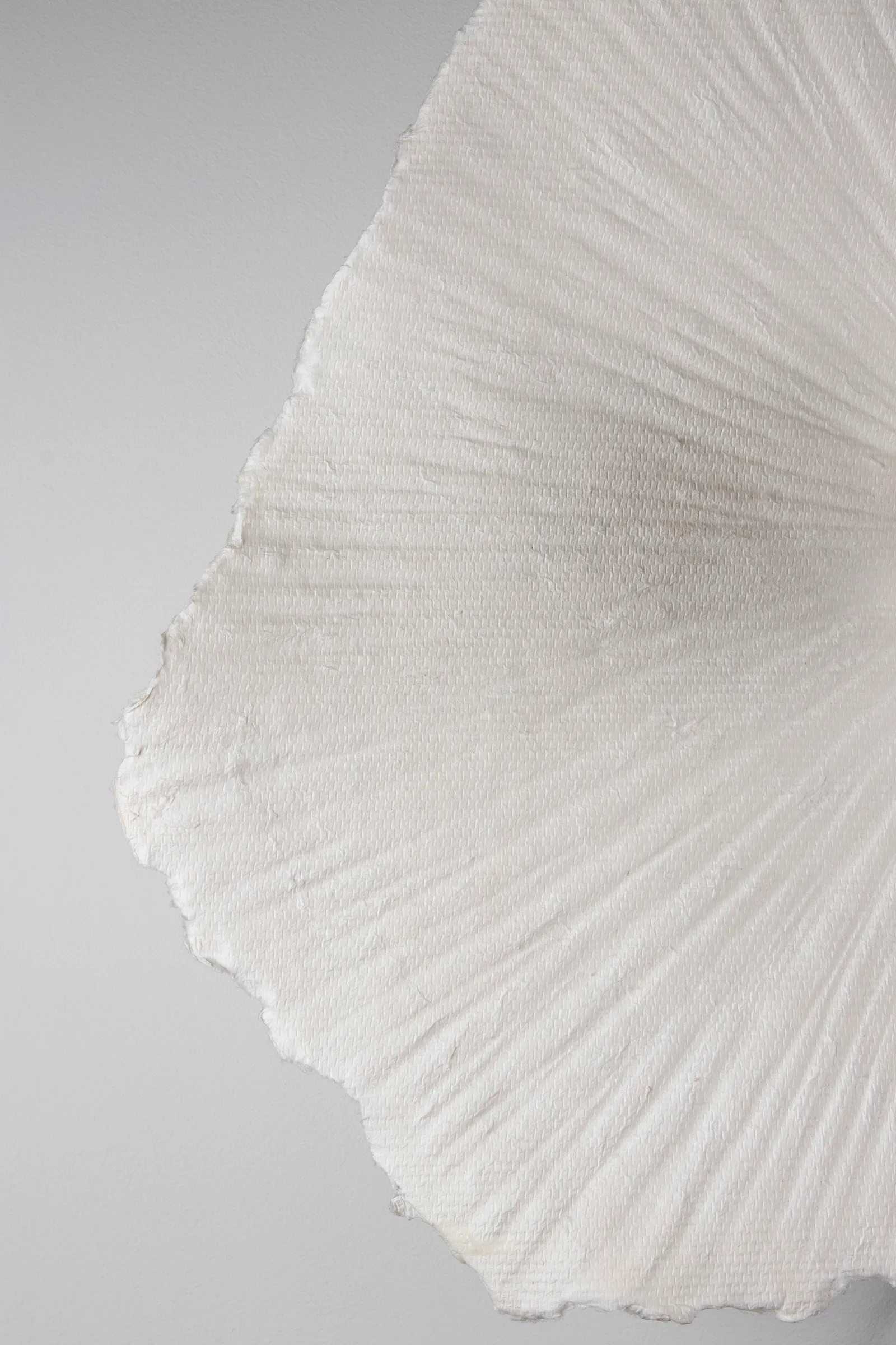 Tropez plafondlamp/wandlamp Ø60 cm, Natuur Globen Lighting