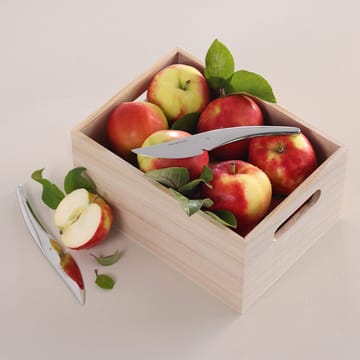 Hardanger fruitmes 6-pack - Roestvrij staal - Hardanger Bestikk