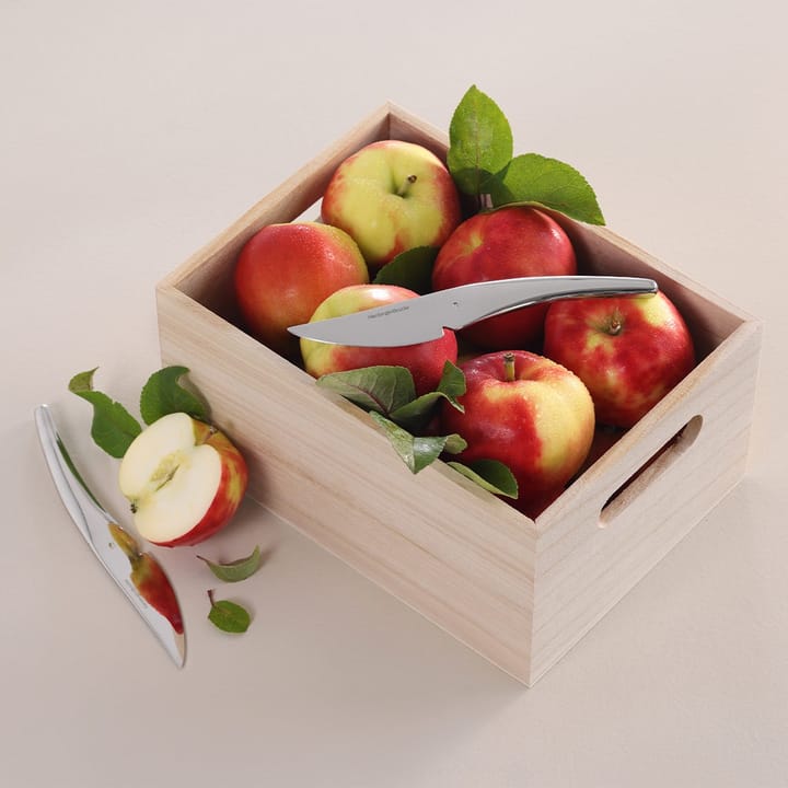 Hardanger fruitmes 6-pack, Roestvrij staal Hardanger Bestikk