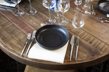 Tina bestek voor voorgerecht 12-delig - Roestvrij staal - Hardanger Bestikk