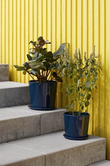Botanical Family pot L Ø18 cm - Dark blue - HAY