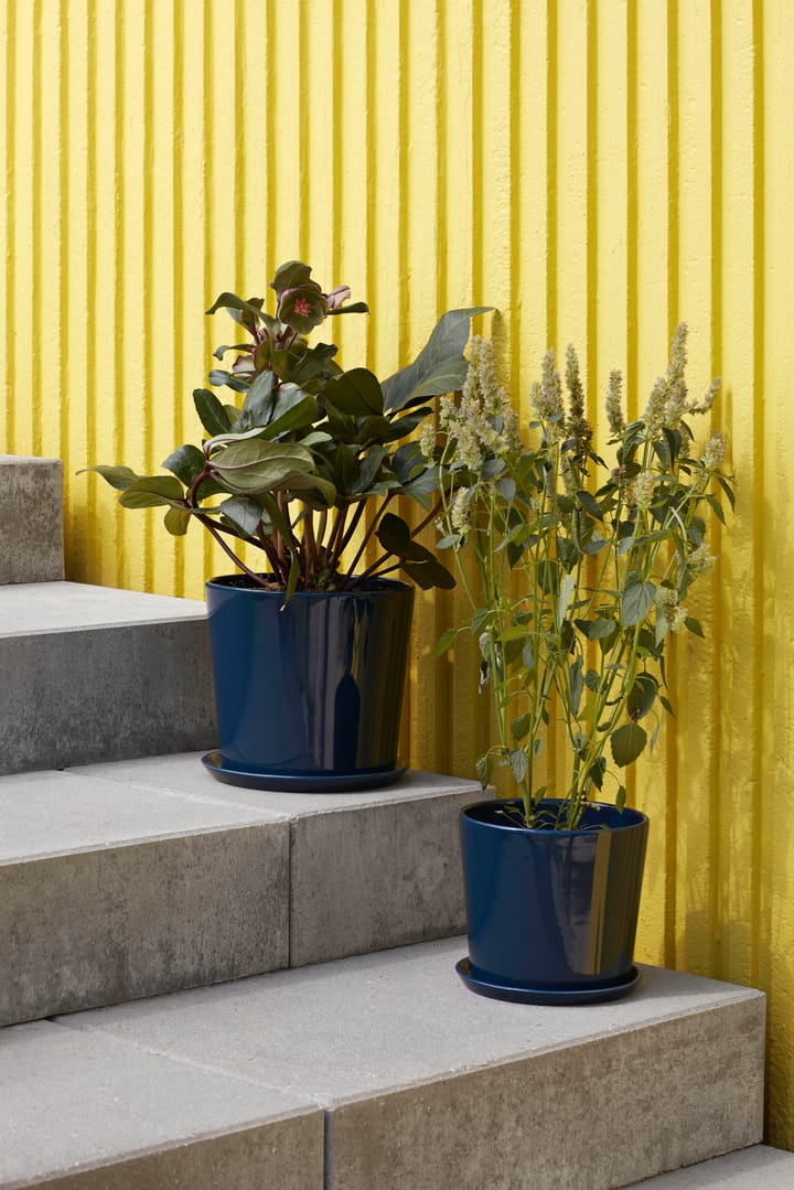 Botanical Family pot L Ø18 cm, Dark blue HAY