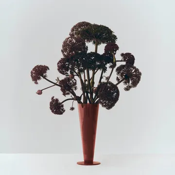 Conical vaas - Rose-dark red, medium - HAY