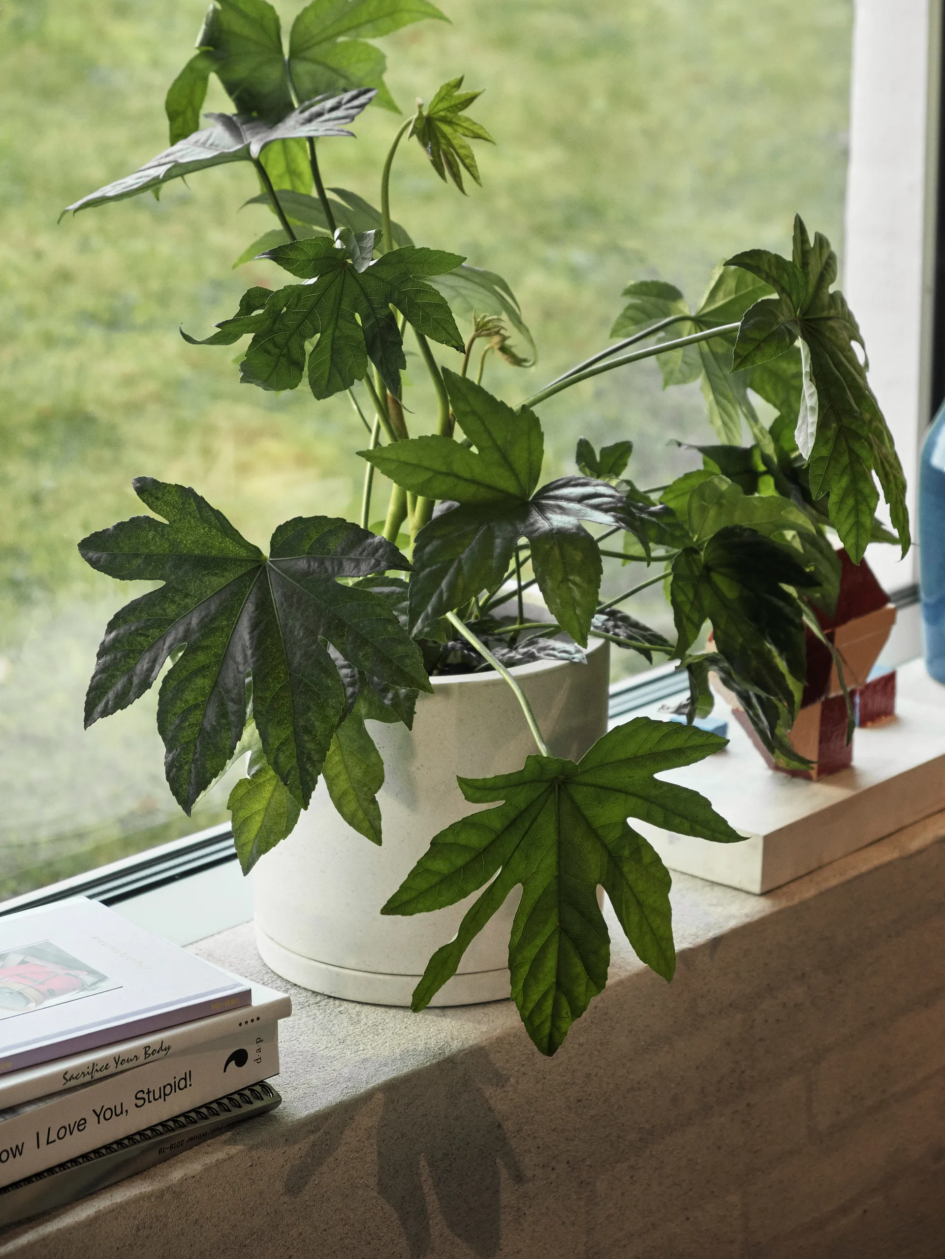 HAY Plant Pot with saucer bloempot L Ø19 cm, Wit HAY