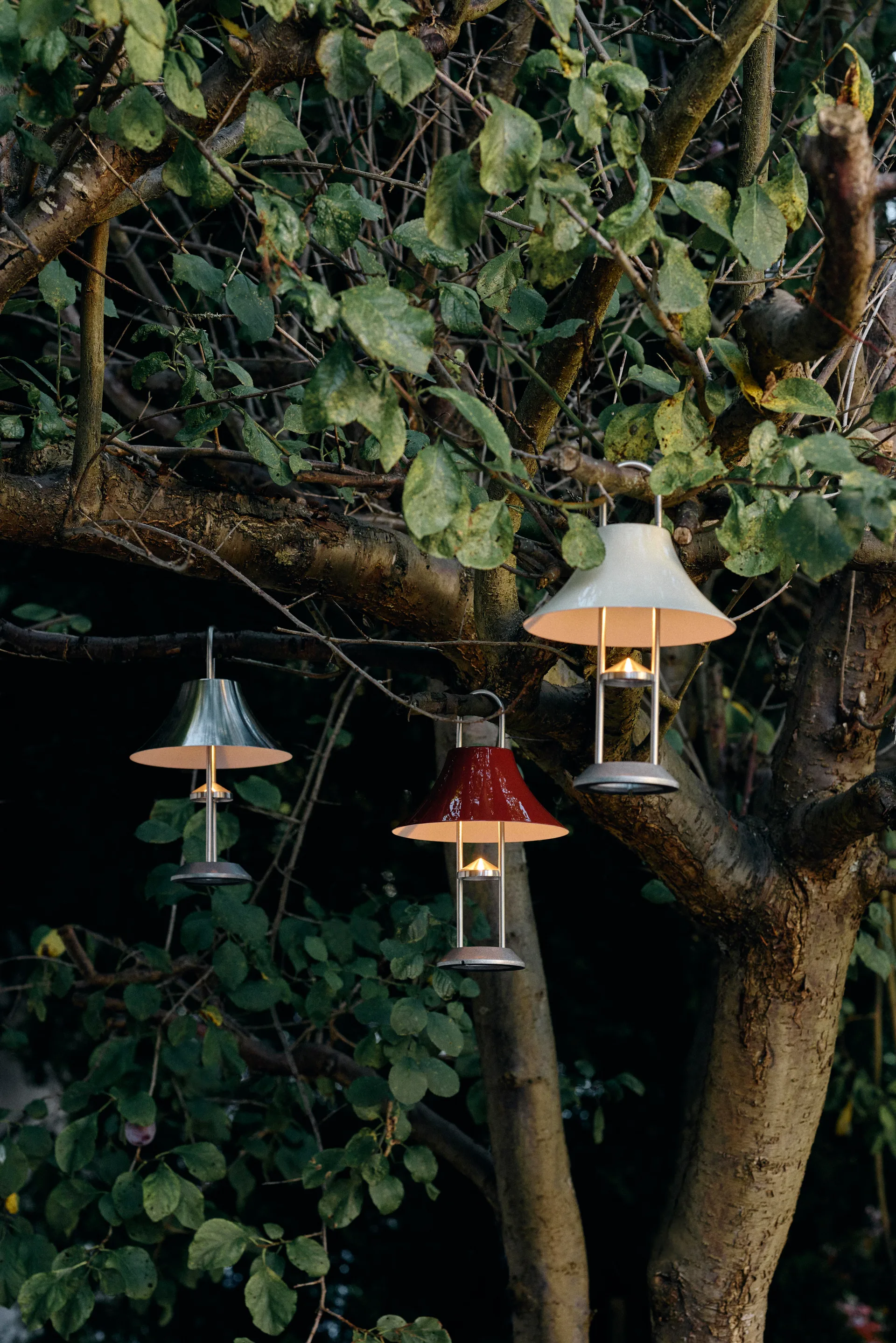 Mousqueton portabele tafellamp 30,5 cm, Brushed stainless steel HAY