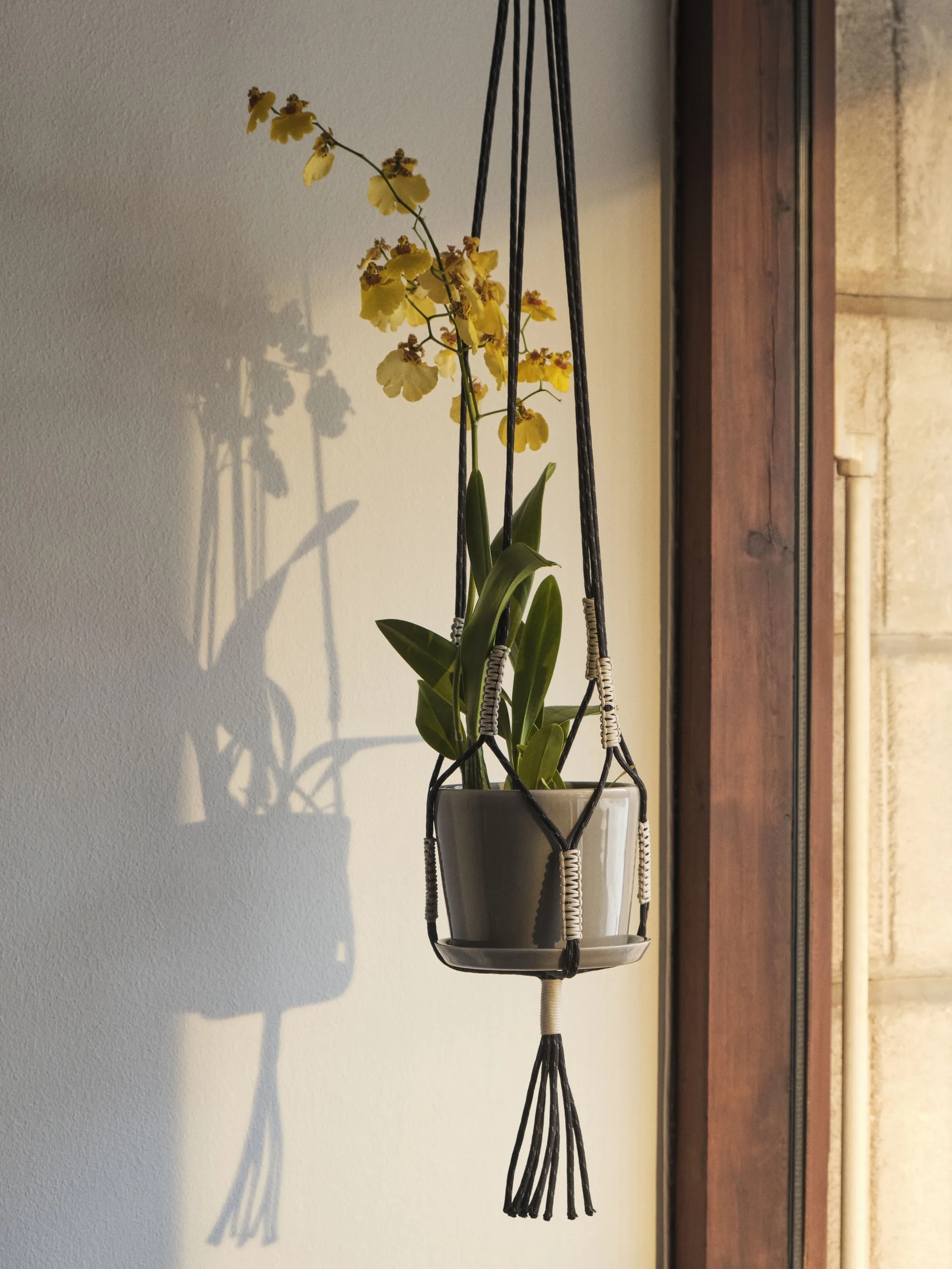 Phanta plant hanger hangpot, Zwart HAY